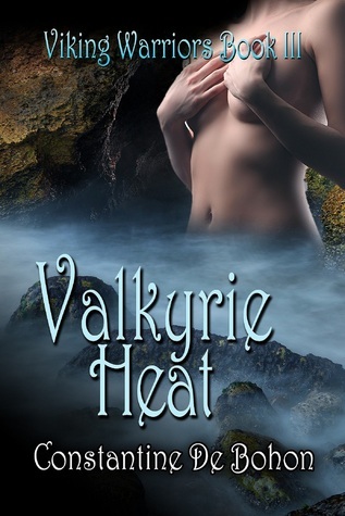 Viking Warriors book cover 3