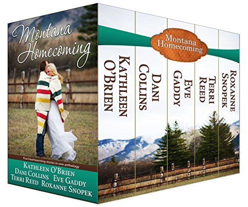 Montana Homecoming book cover