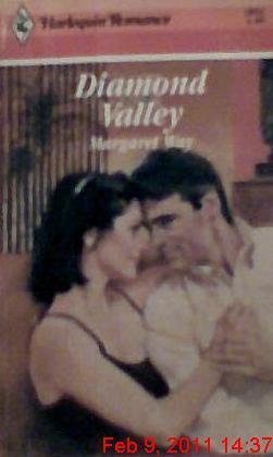 Diamond Valley book cover
