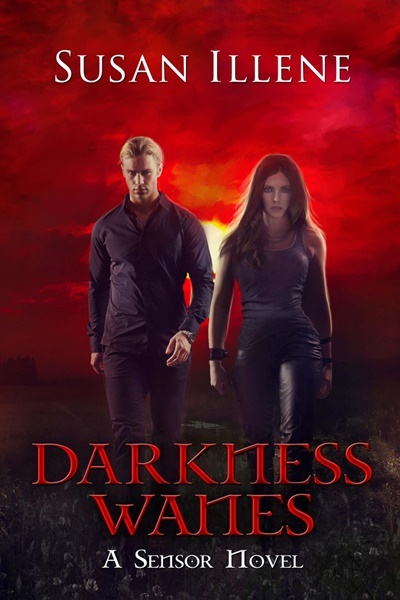 Darkness Wanes book cover