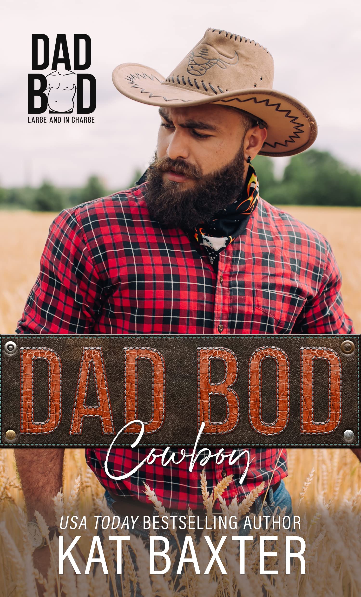 Dad Bod Cowboy book cover
