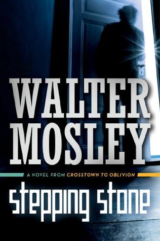 Stepping Stone book cover