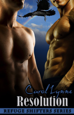 Resolution book cover