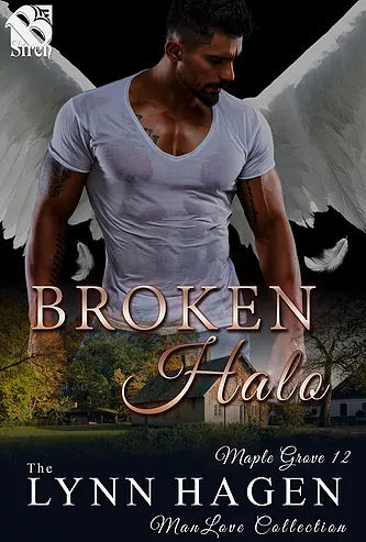 Broken Halo book cover