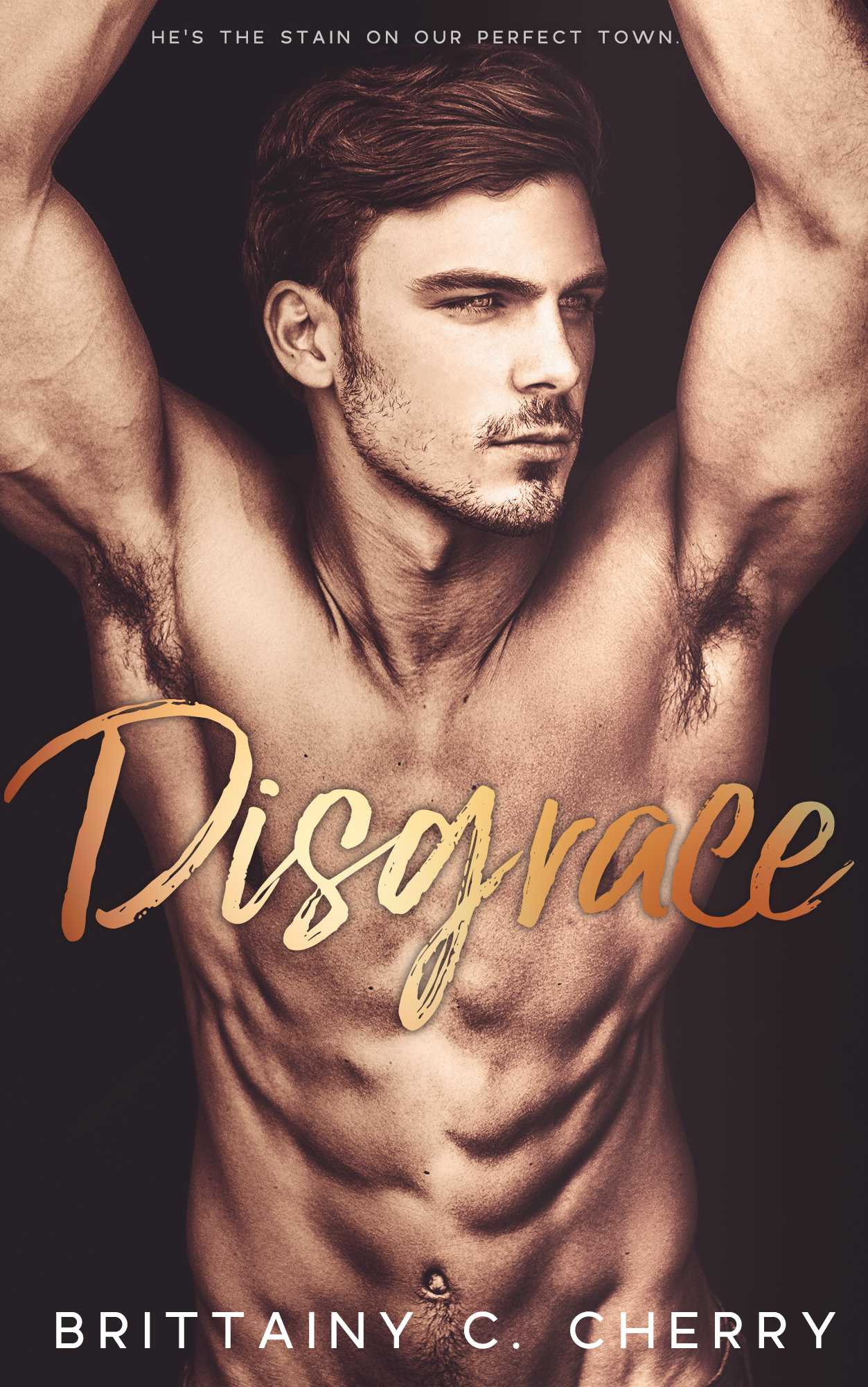 Disgrace book cover