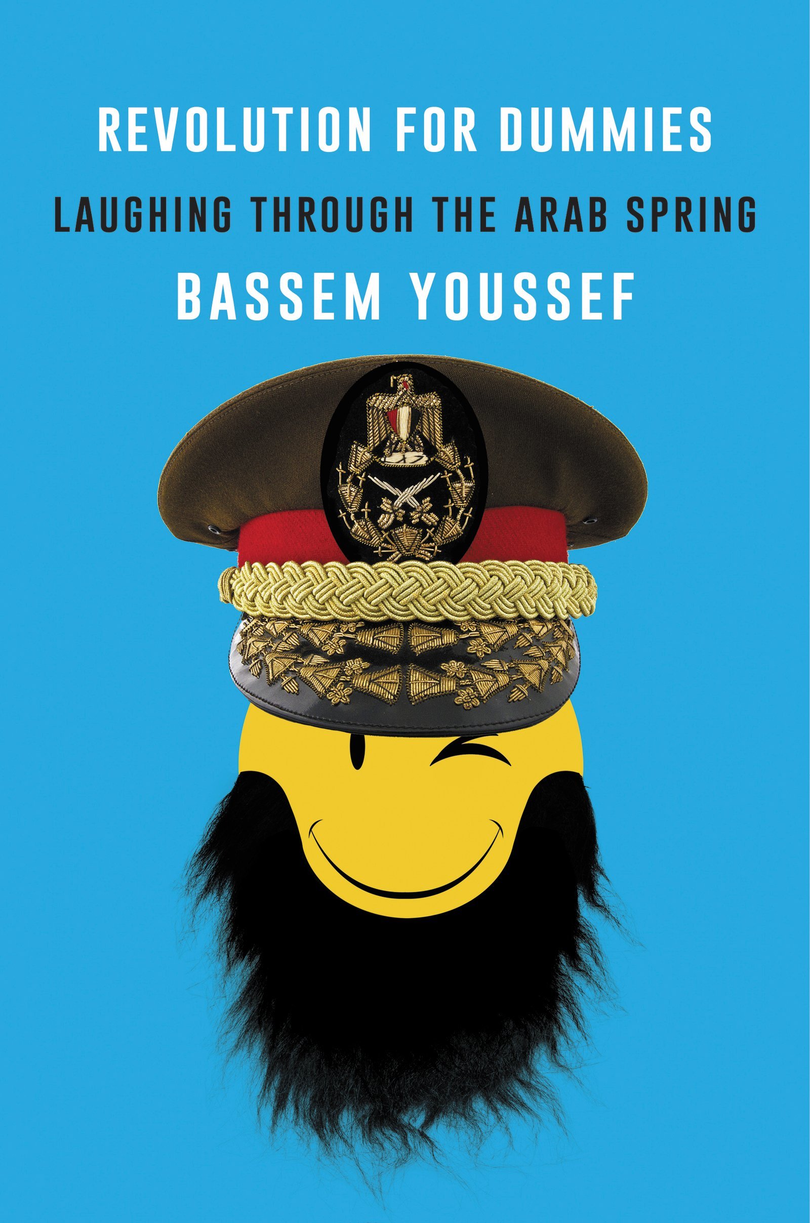 Revolution for Dummies book cover