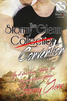 The Stormy Glenn Convention book cover
