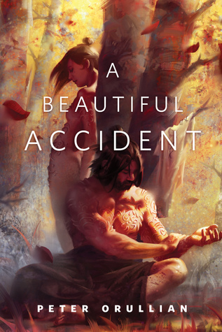 A Beautiful Accident book cover