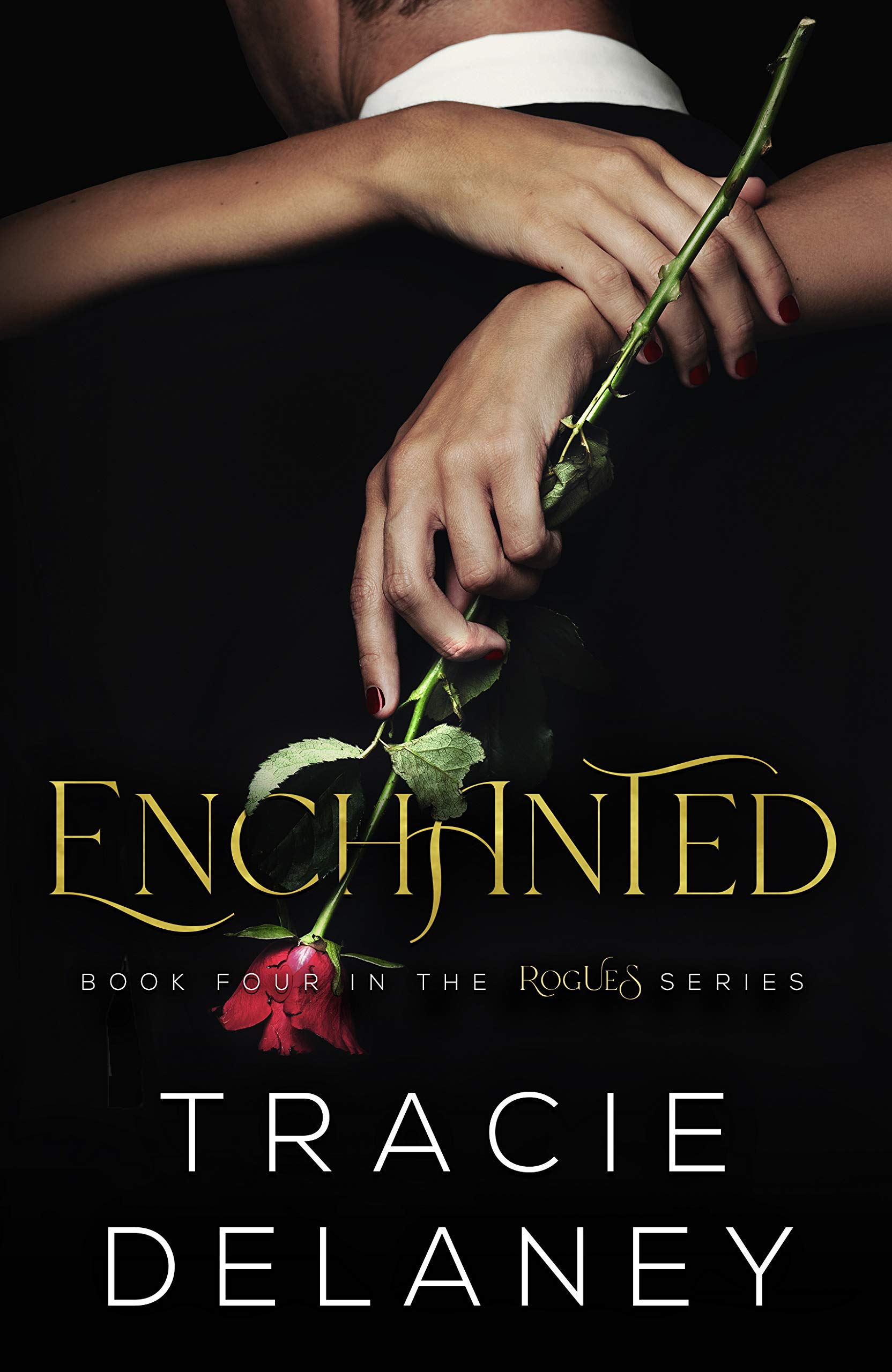 Enchanted book cover