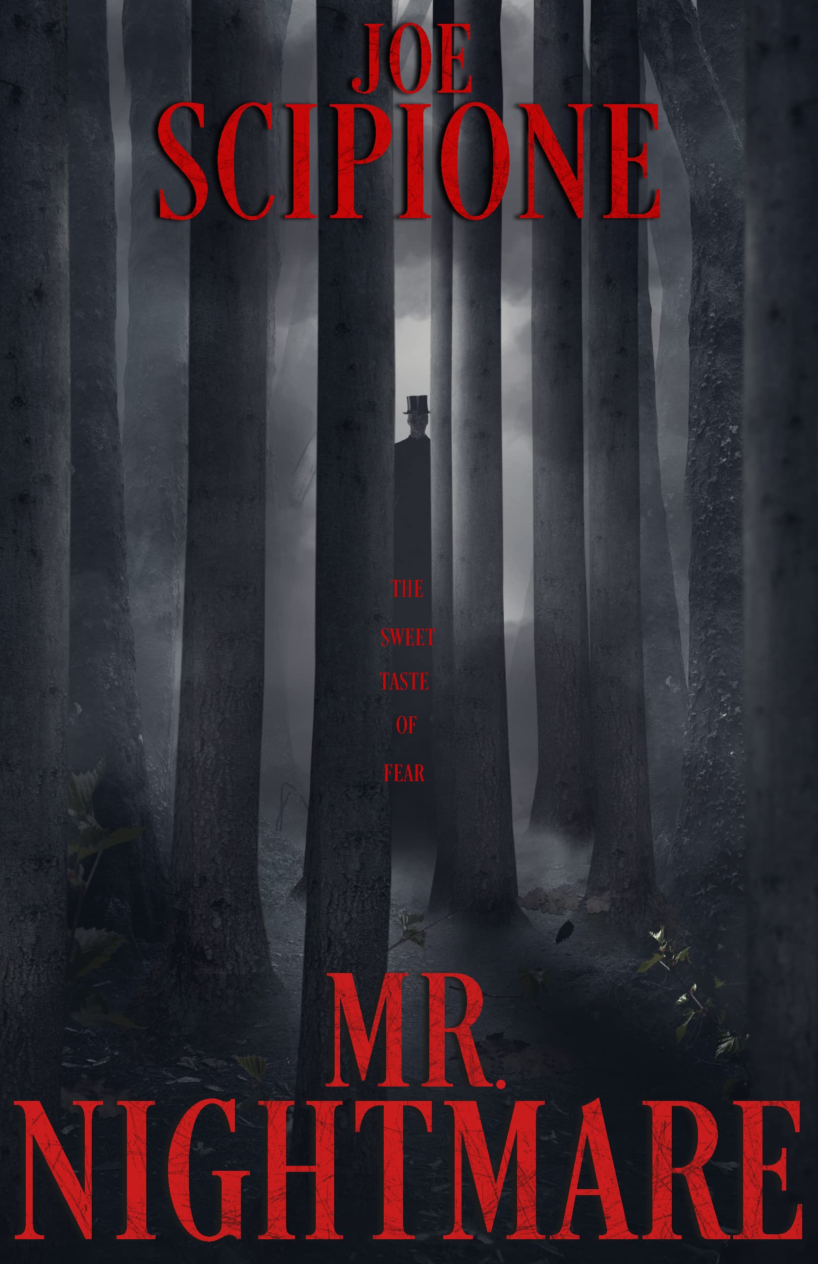 Mr. Nightmare book cover