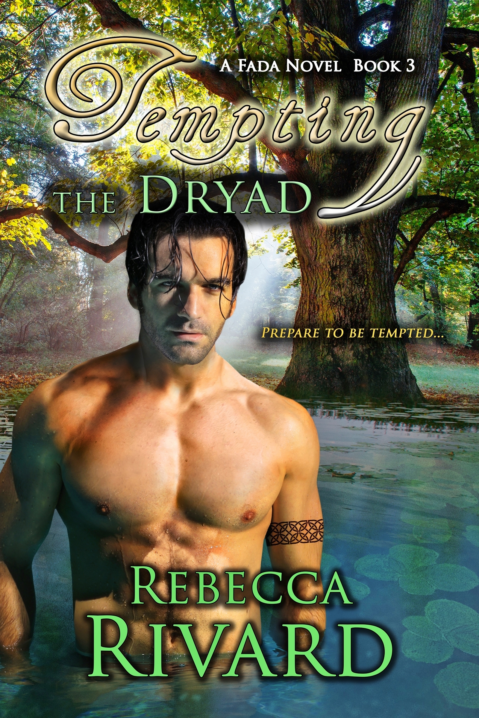Fada Shapeshifters book cover 3