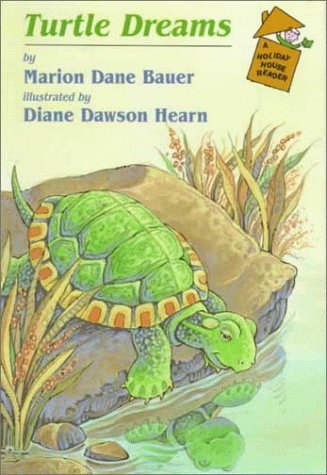 Turtle Dreams book cover