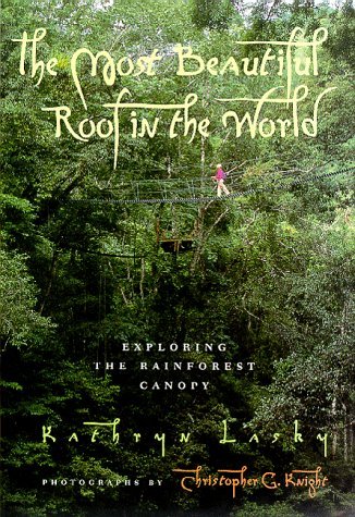 The Most Beautiful Roof in the World book cover