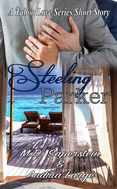 Steeling Parker book cover