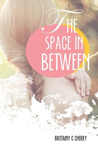 The Space in Between book cover 1