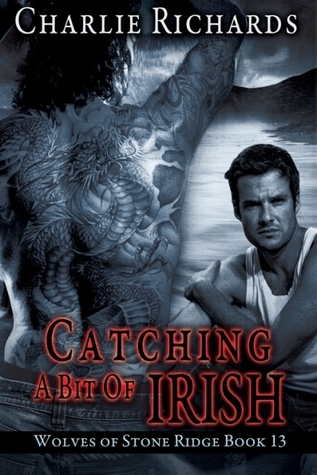 Catching a Bit of Irish book cover