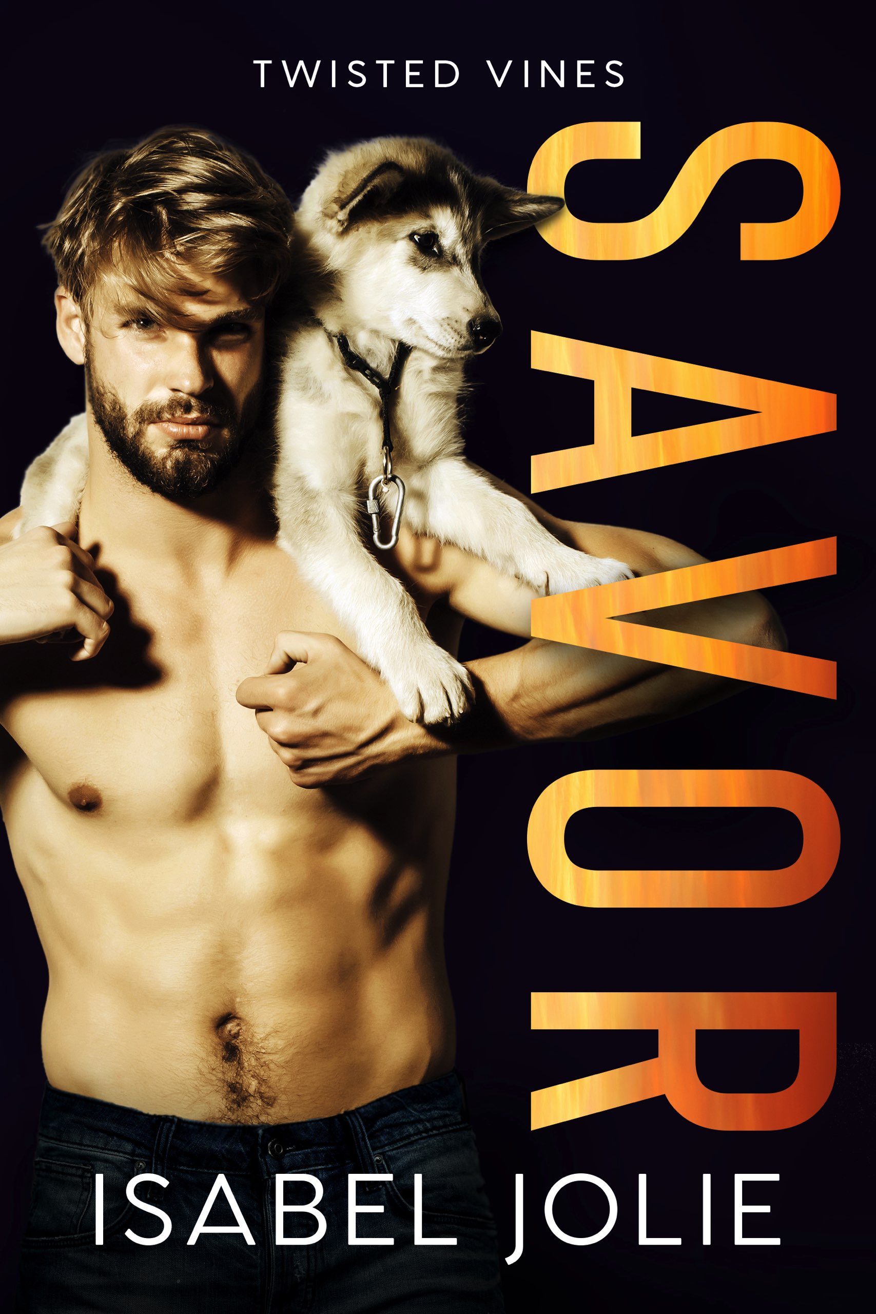 Savor book cover