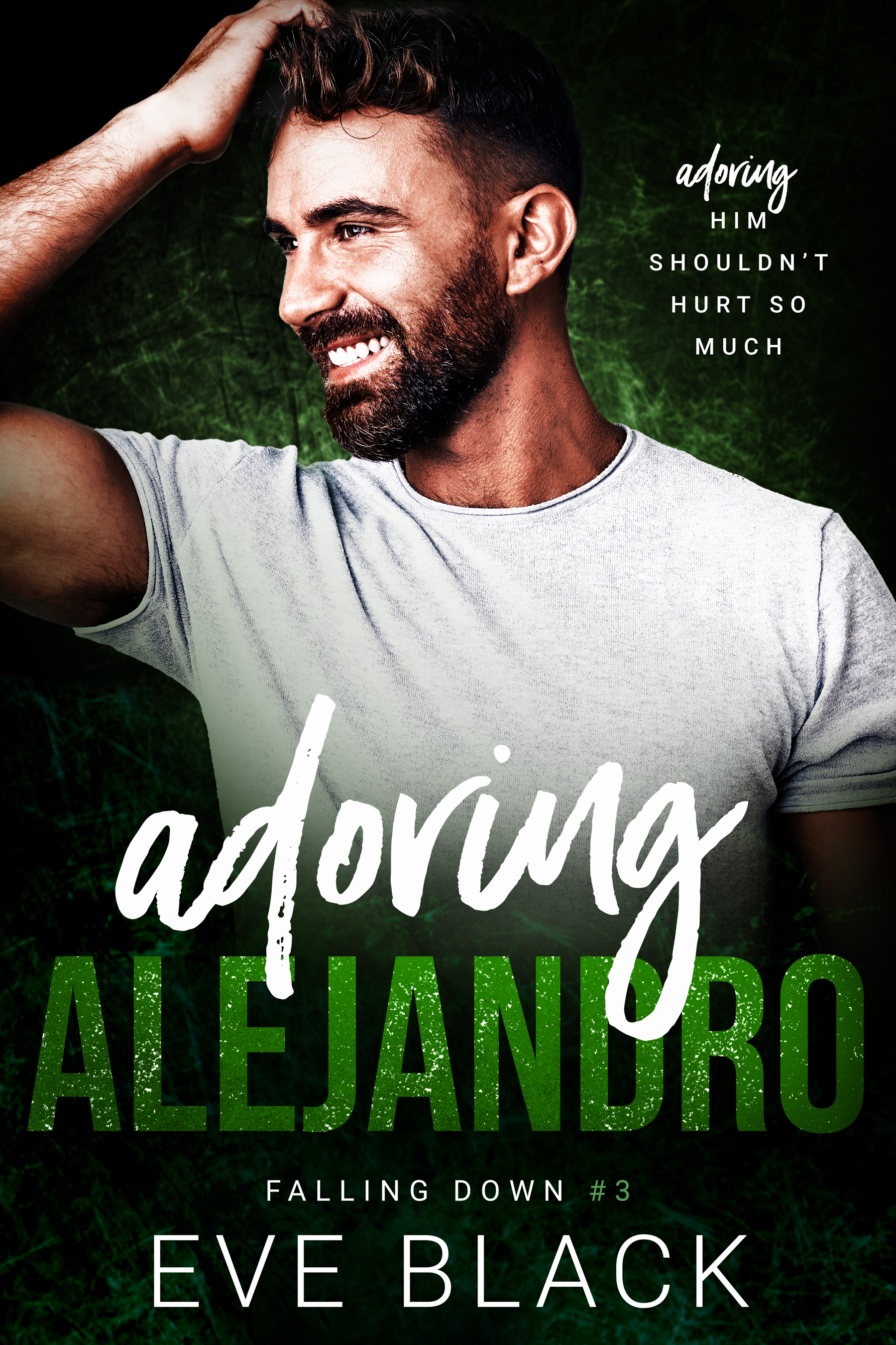 Falling Down book cover 2