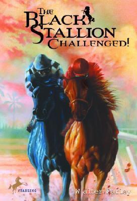 The Black Stallion Challenged book cover