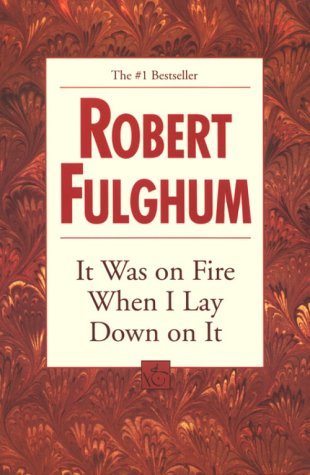 It Was on Fire When I Lay Down on It book cover
