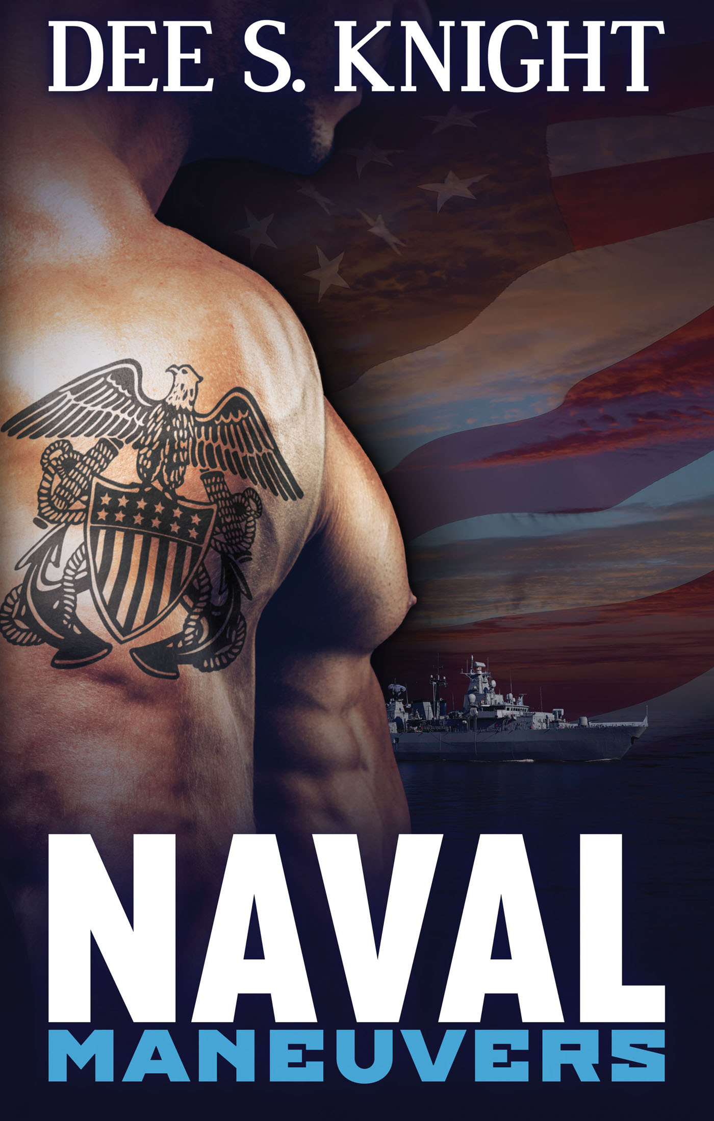 Naval Maneuvers book cover