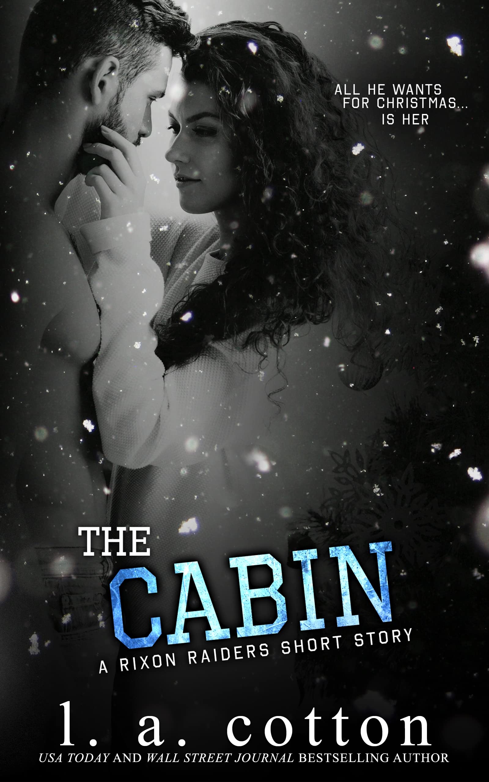 The Cabin book cover