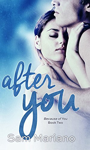 After You book cover