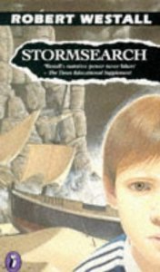 Stormsearch book cover