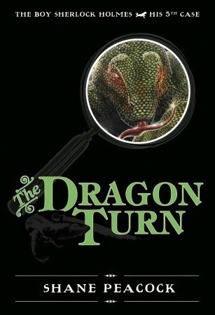 The Dragon Turn book cover