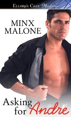 The Mirage Agency Series book cover 2