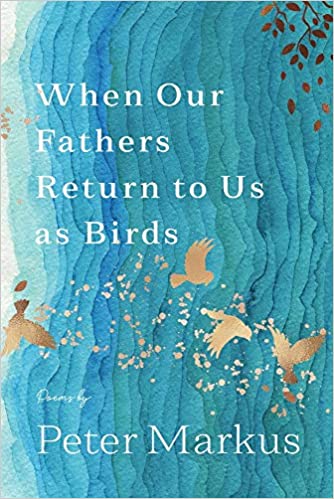 When Our Fathers Return to Us as Birds book cover