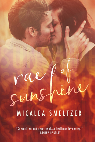 Light in the Dark book cover 1