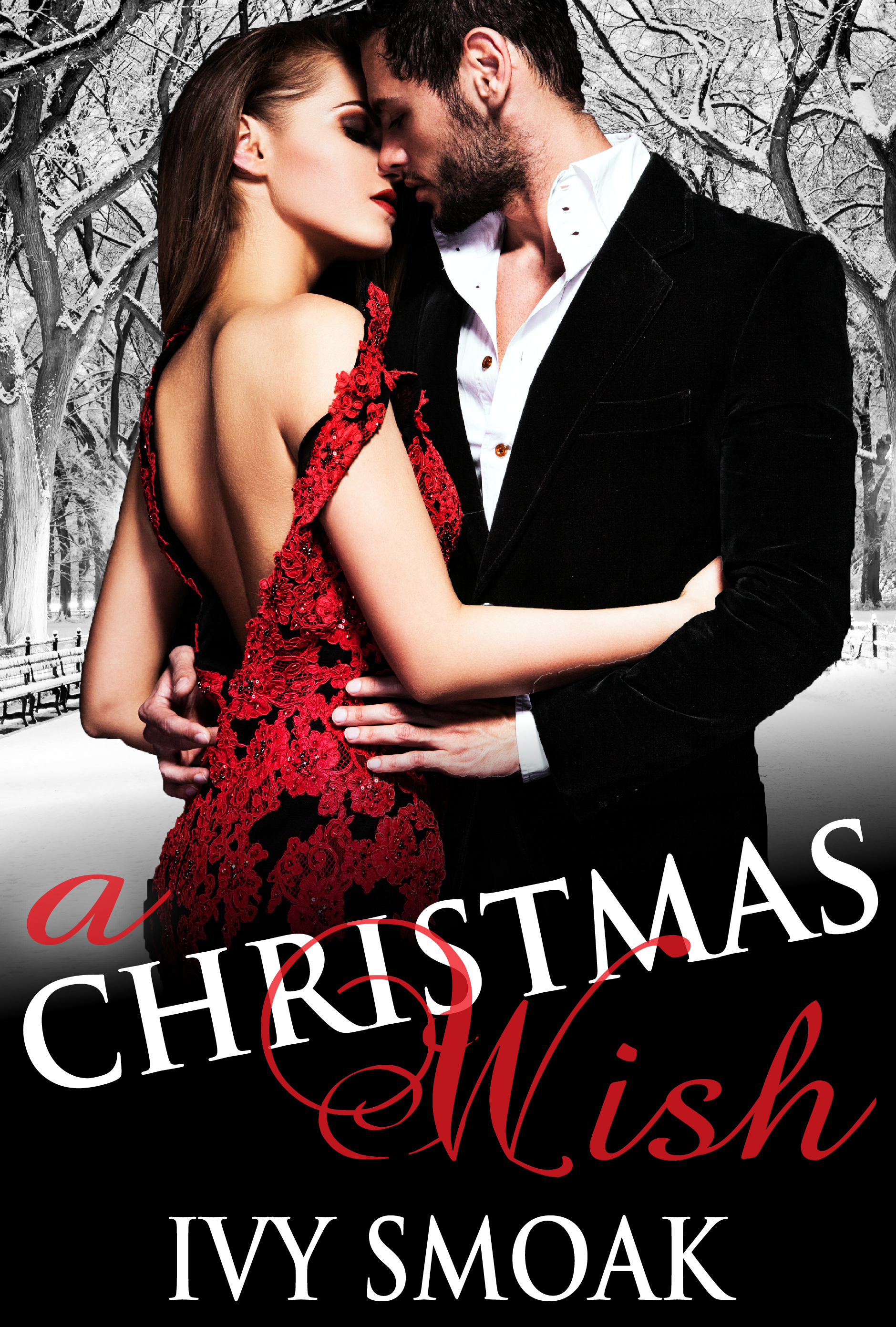 A Christmas Wish book cover