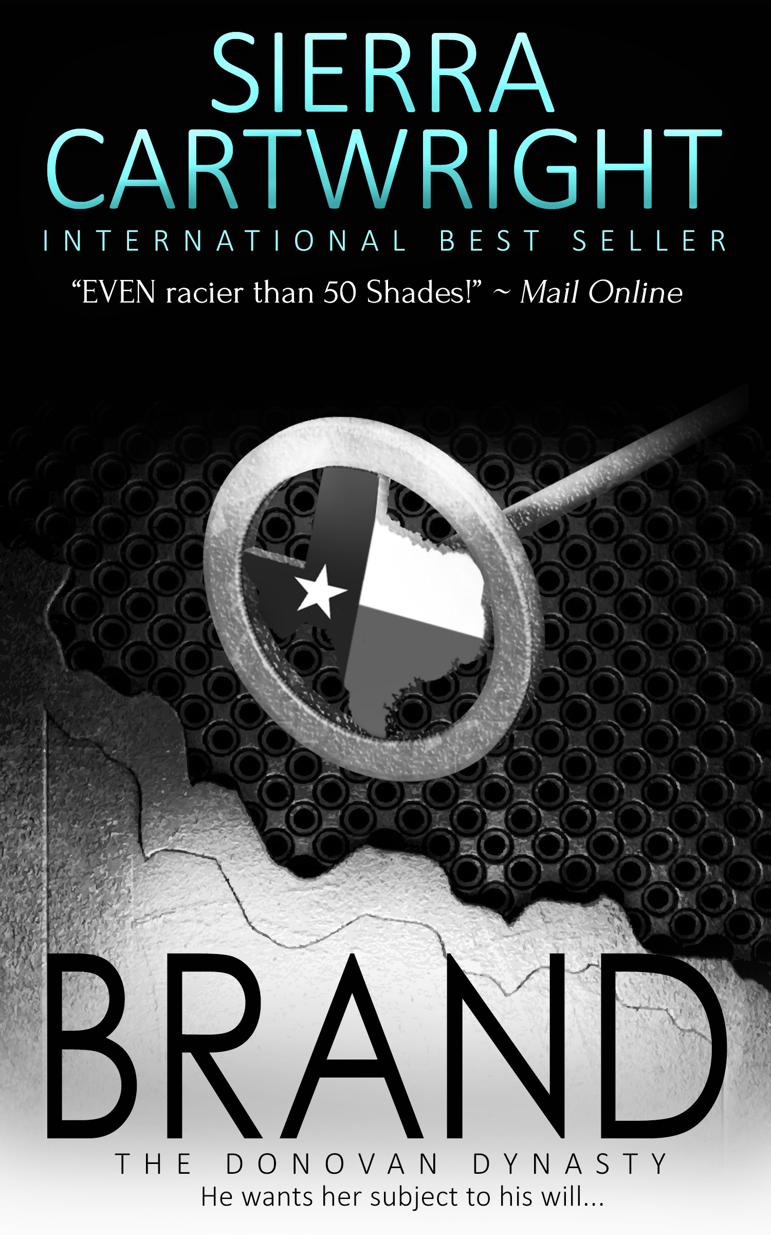 The Donovan Dynasty book cover 2