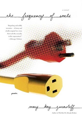 The Frequency of Souls book cover