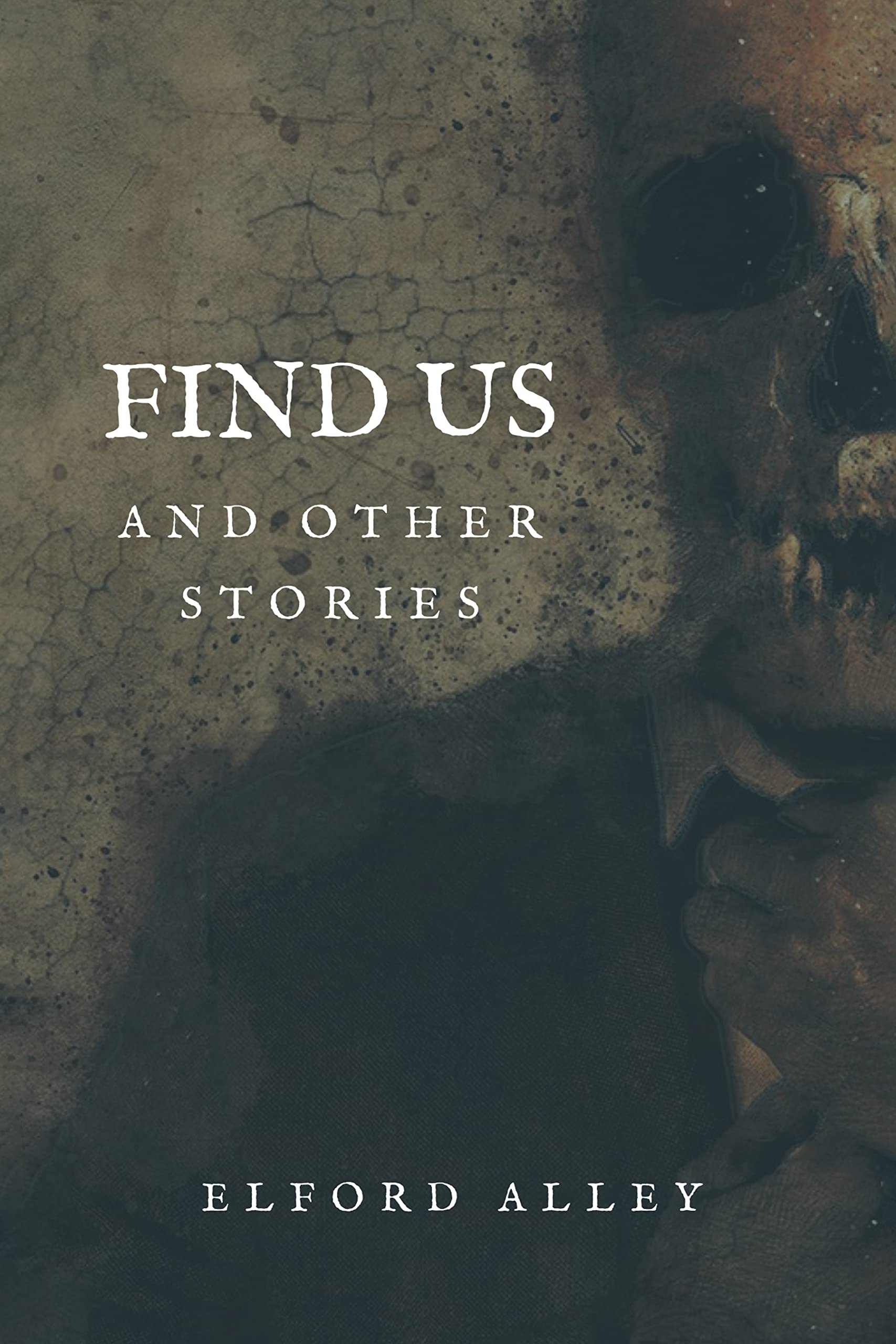 Find Us and Other Stories book cover