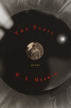 The Pupil book cover