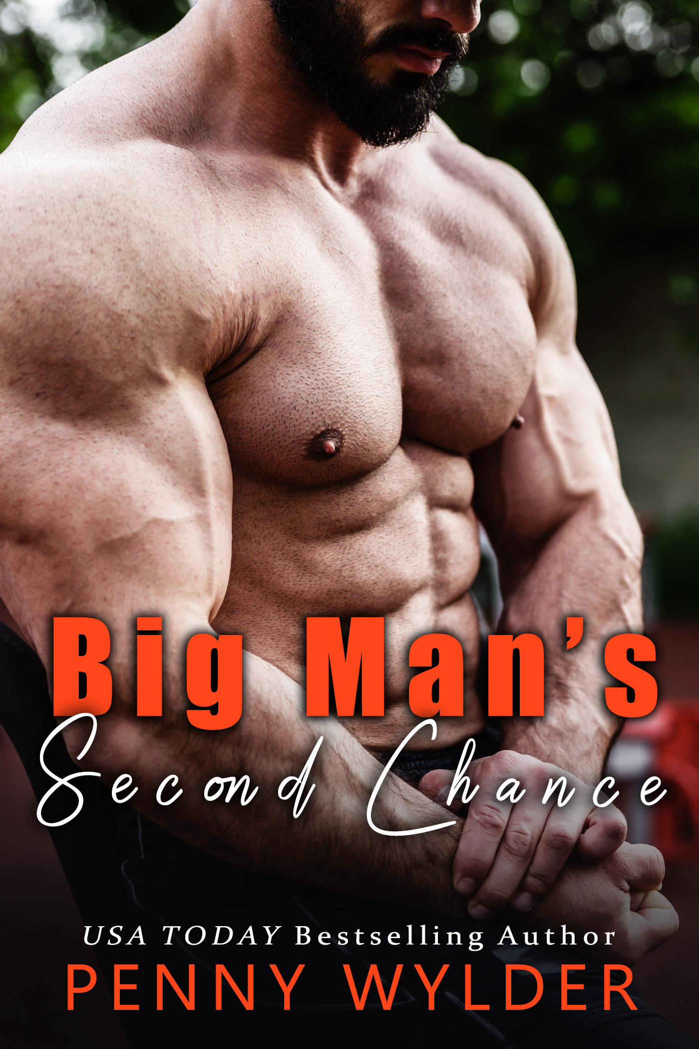 Big Man's Second Chance book cover