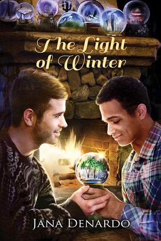 The Light of Winter book cover