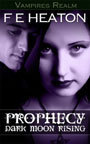 Vampires Realm book cover 3