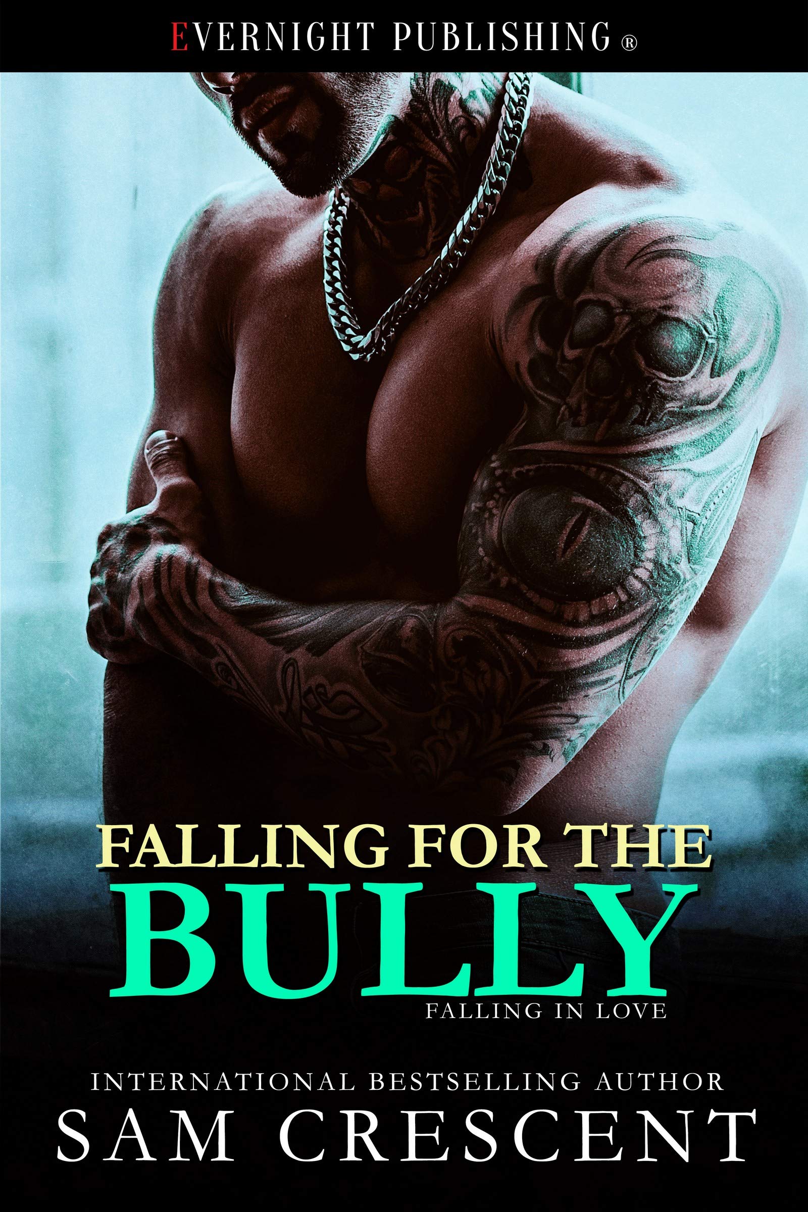Falling in Love book cover 3