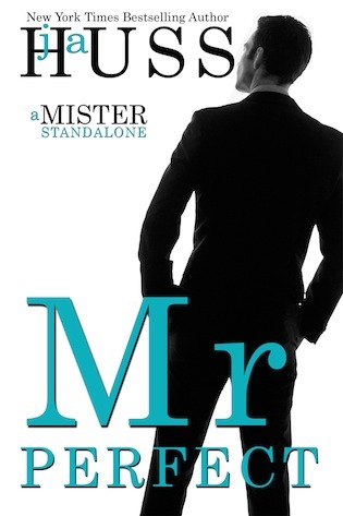 Mister book cover 1