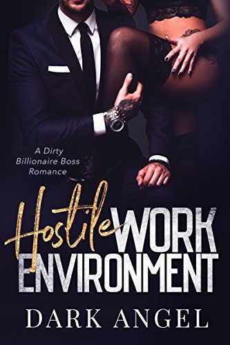 Hostile Work Environment book cover