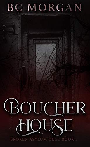 Broken Asylum Duet book cover 1