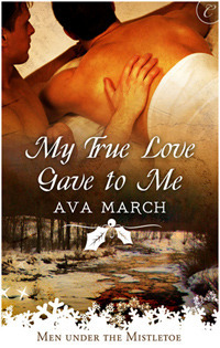 My True Love Gave to Me book cover