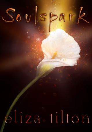 Soulspark book cover