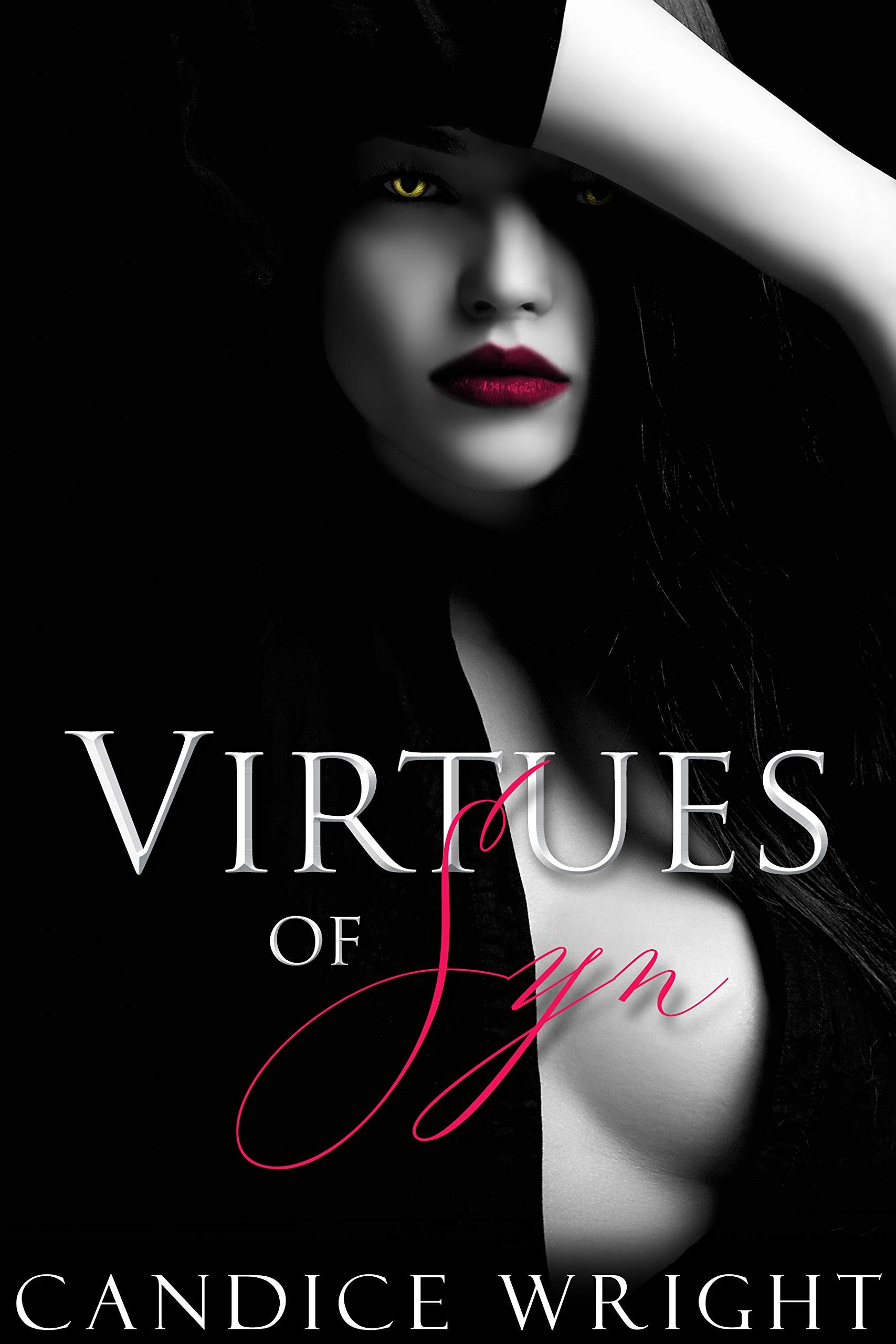 Virtues of Syn book cover