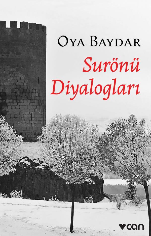 Surönü Diyalogları book cover