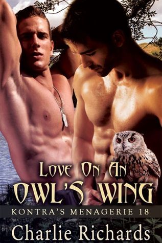 Love on an Owl's Wing book cover