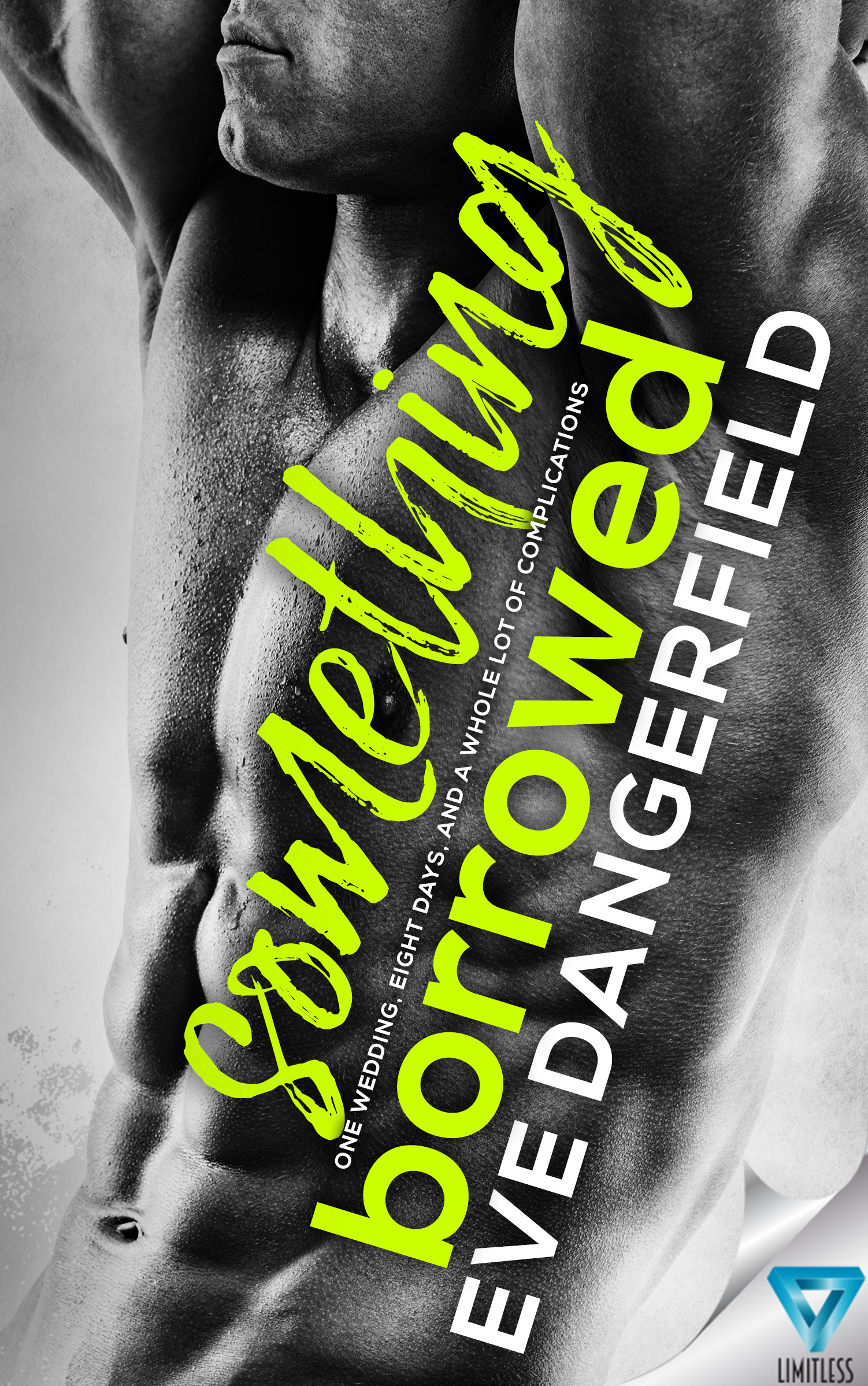 Something Borrowed book cover 1